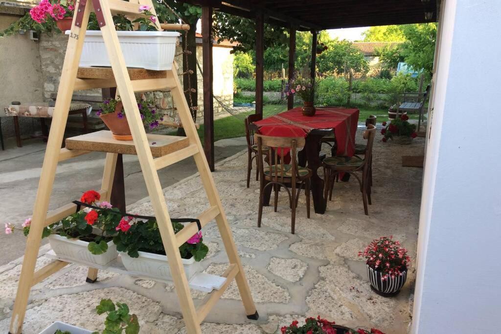 Guest House Kostadinovi Bŭlgarevo Zewnętrze zdjęcie