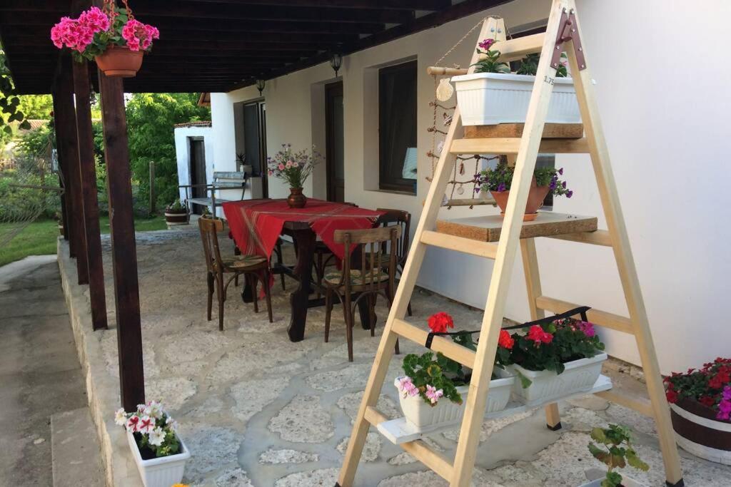 Guest House Kostadinovi Bŭlgarevo Zewnętrze zdjęcie